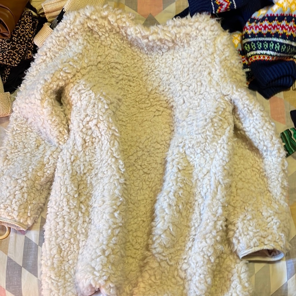 Aritzia Wilfred fuzzy sheep teddy  jacket